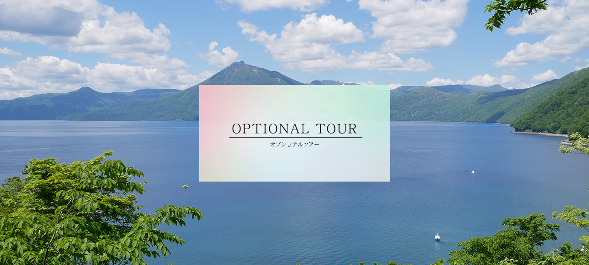 OPTIONAL TOUR